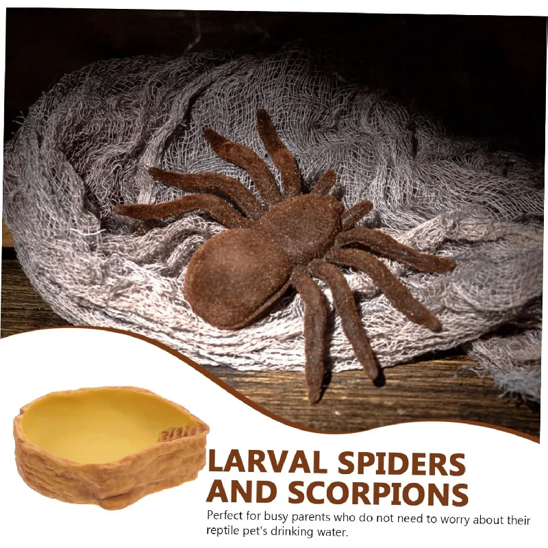 

Кормление рептилий, поднос для питья, реалистичный, прочный, легко чистится, подходит для повседневного спроса черепах, ящериц и змей.