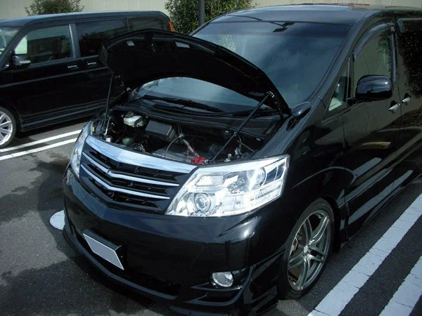 Bonnet Hood Struts for Toyota Alphard 2002 2003 2004 2005 2006 2007 2008 Lift Supports Piston Spring Rods Shock Absorber Dampers