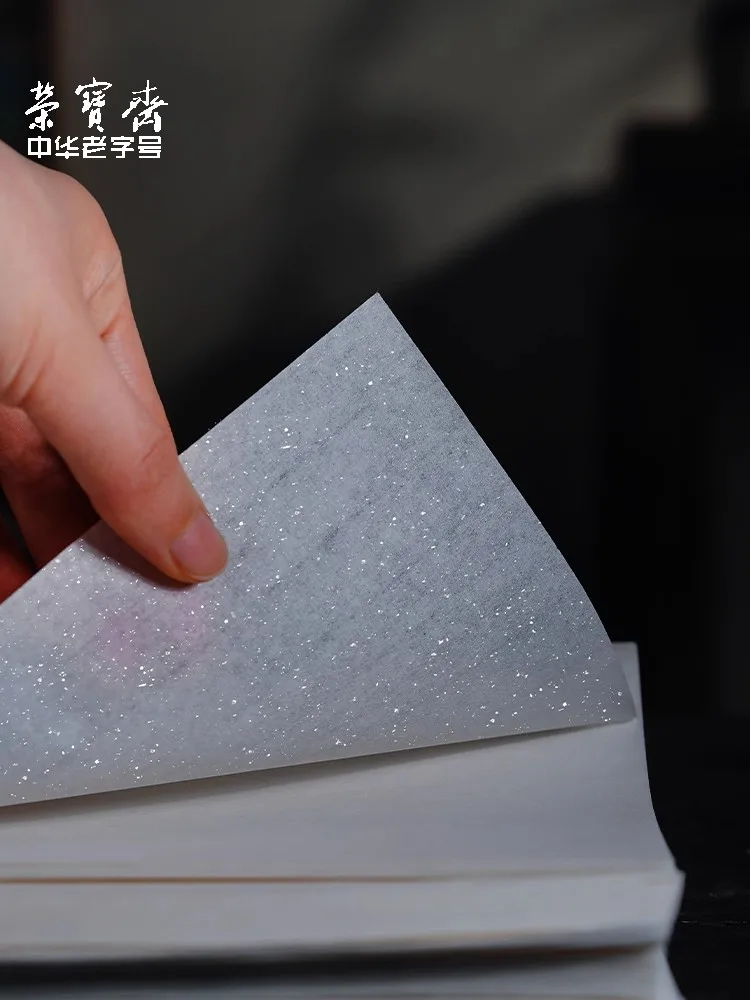 20 Sheets Mica Cicada Wing Gongbi Xuan Paper - Ultra-Thin Sheer Tracing Paper with Embossed Pattern for Meticulous Painting