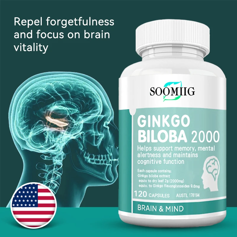 Ginkgo Biloba Brain Supplement, Supports Memory, Mental Alertness and Cognitive Function, 120 Capsules