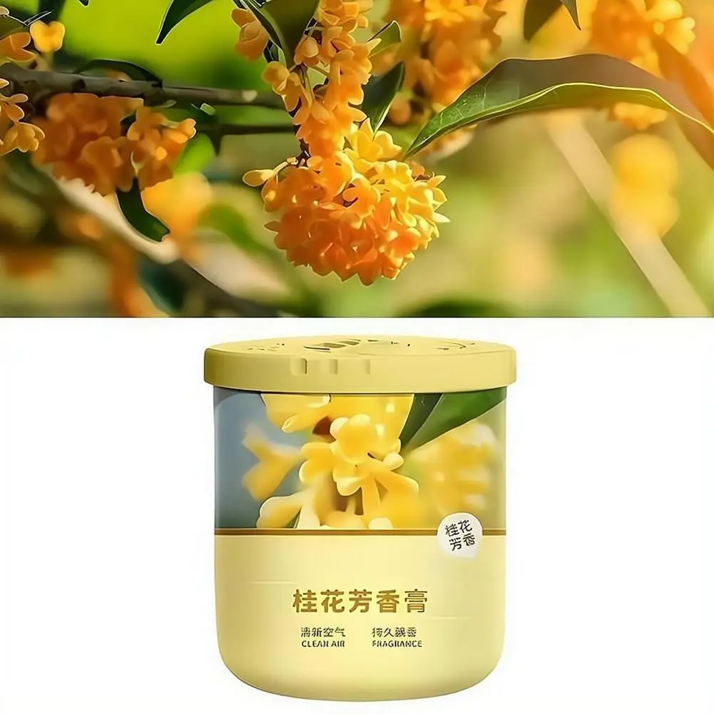 Solid Air Freshener Osmanthus Scented Fragrance Cream Home Odor Eliminator Deodorizer For Bathroom Toilet Bedroom Car view 6