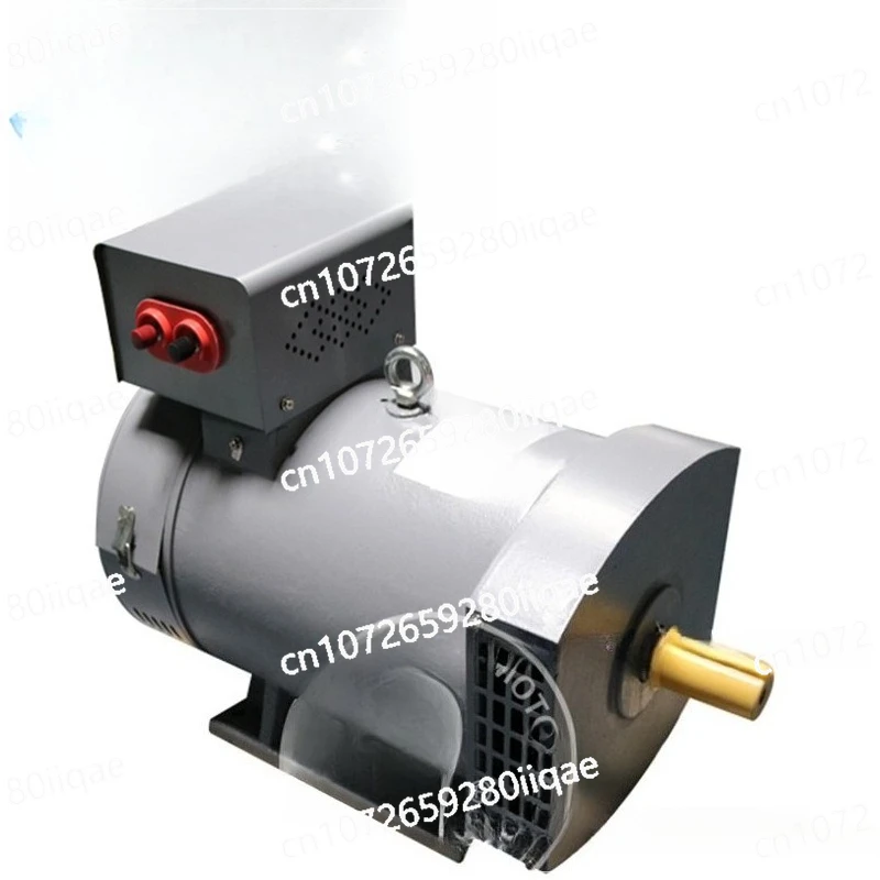 STSTC AC Brush Generator 3KW-100KW Electric Ball Frequency Conversion High Power Generator Head for Industrial Use