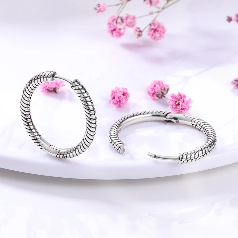 Echte Liebesfeder-Ohrringe aus 925er Sterlingsilber, passend für Original-Charms, Creolen für Damen und Mädchen, Ohrstecker, edler Schmuck, Geschenke – Detail 11