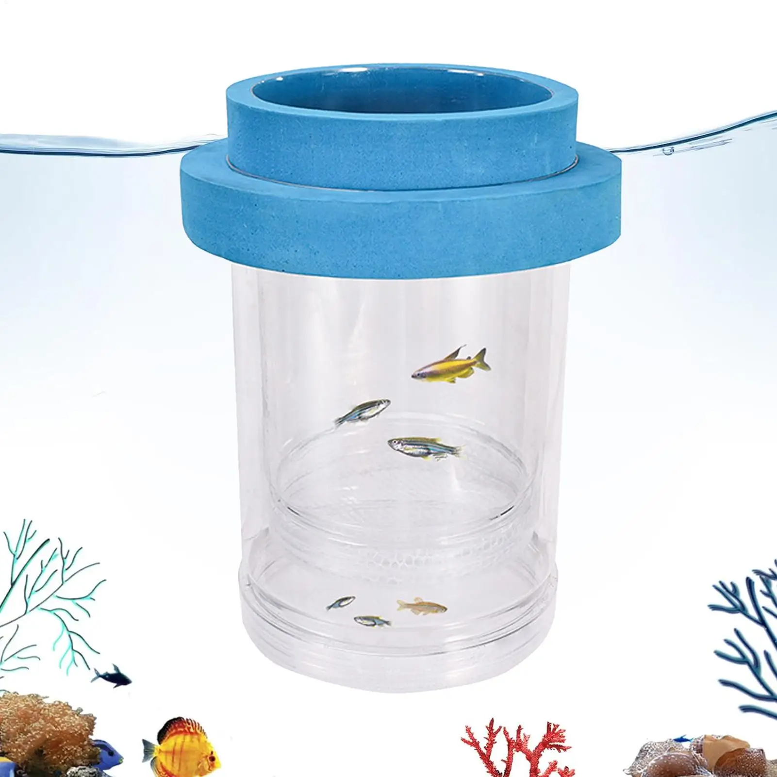 Floating Breeder Box Plastic Floating Fish Breeding Isolation Box For Guppy Fish Breeding Isolation Box Aquarium Hatchery
