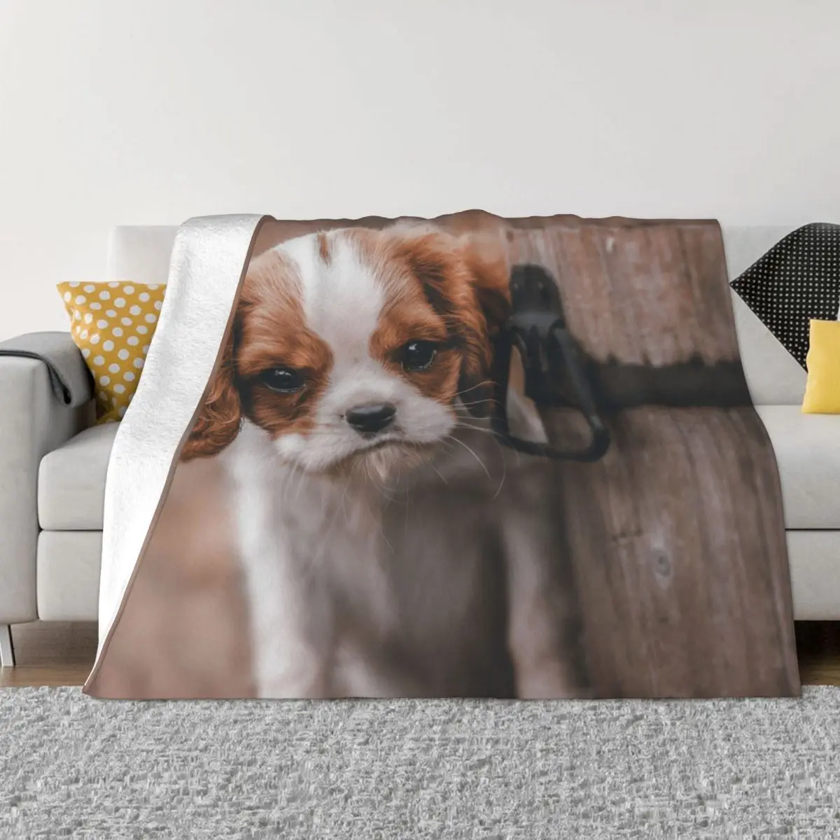 

Cavalier King Charles Spaniel Blankets Velvet Autumn/Winter Animal Dog Lover Soft Throw Blanket for Bed Office Plush Thin Quilt