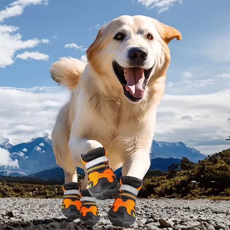 

Dog Shoes Large Breed Wear-resistant And Strong Comfortable Fabric Ventilate
