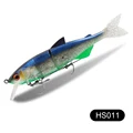 HS011