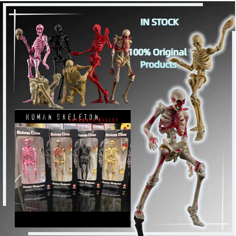 

【IN STOCK 】Play Aozou Original 1/12 Biology Class - Human Skeleton - Skeleton Model Kit - Complete Joint Handmade Model