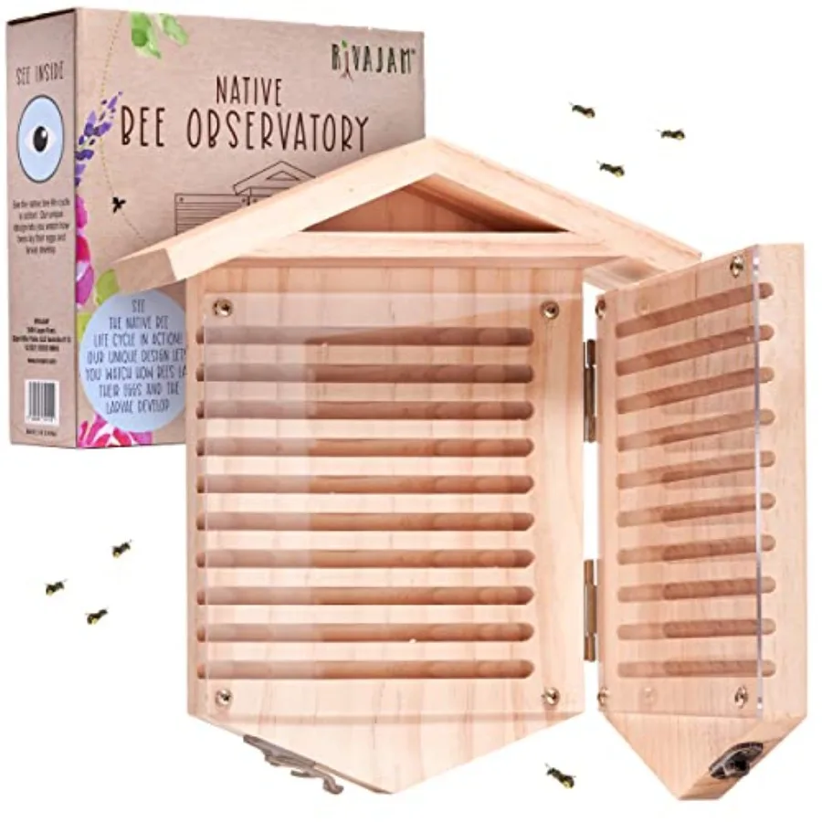 Native Bee Observat…