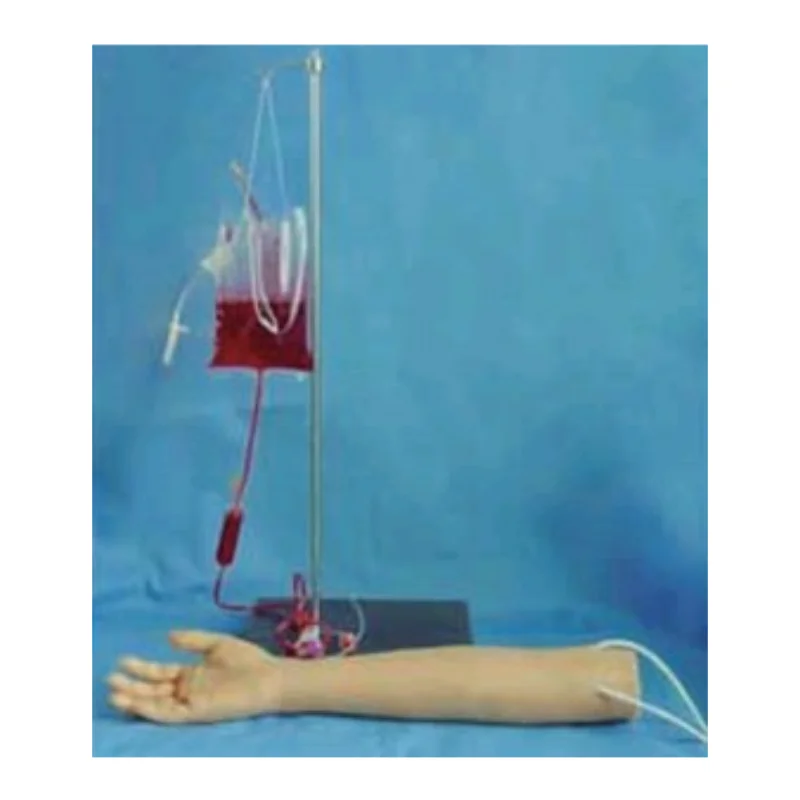 

BIX-FS5 Medical Training Child Arm Vein Puncture Model