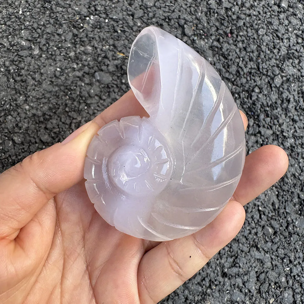 Natural Fluorite Nautilus Shell Figurine - 7.5cm Hand-Carved Crystal Sea Creature Statue for Collectible Decor