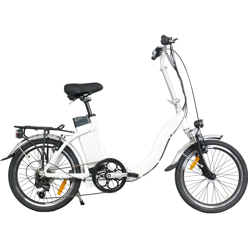 

20 Inch 2 Seat Folding Electric Bike 250W 36V 10AH Electric Bicycle for Woman
