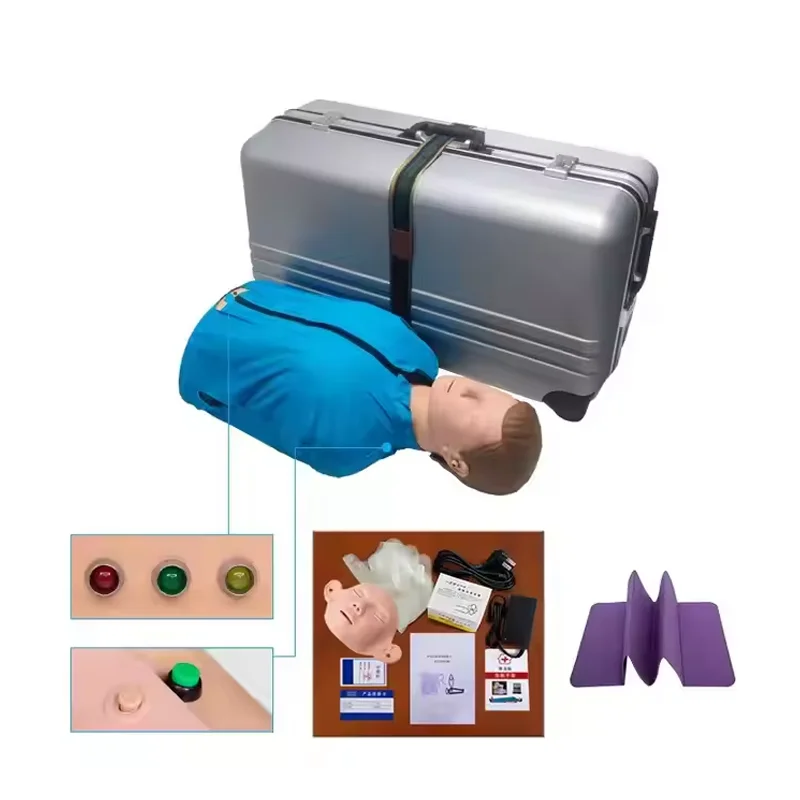 Cardiopulmonary Resuscitation Simulates Human Half Heart Training Resuscitation Artificial Respiration Dummy Teaching