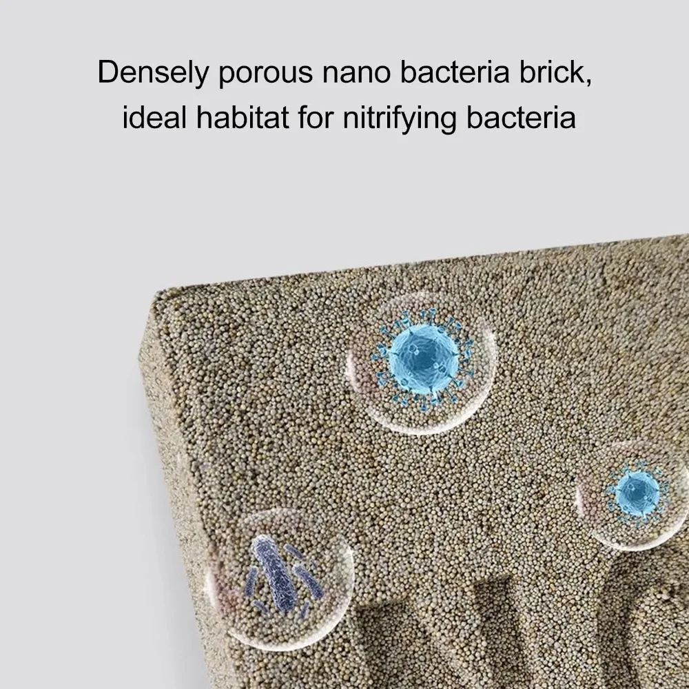 Biological Filtrati…