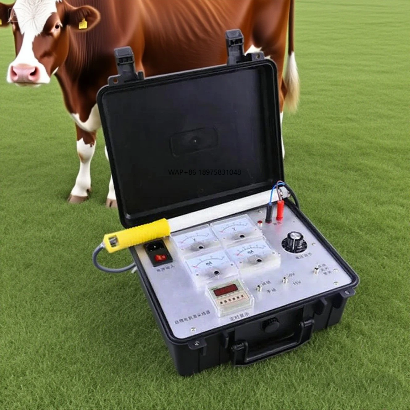 

Large animal electroejaculation device for cattle and sheep