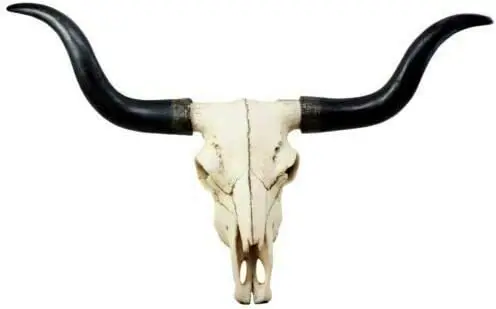 Large 27-Inch Wide Longhorn Steer Cow Skull Wall Head Hanging Sculpture Plaque, Bull Cattle Wild Beast Figurine, Cowboy Hunter Game Trophy, Bulls Cows Steers Grassland Pasture Herding Animal Decor