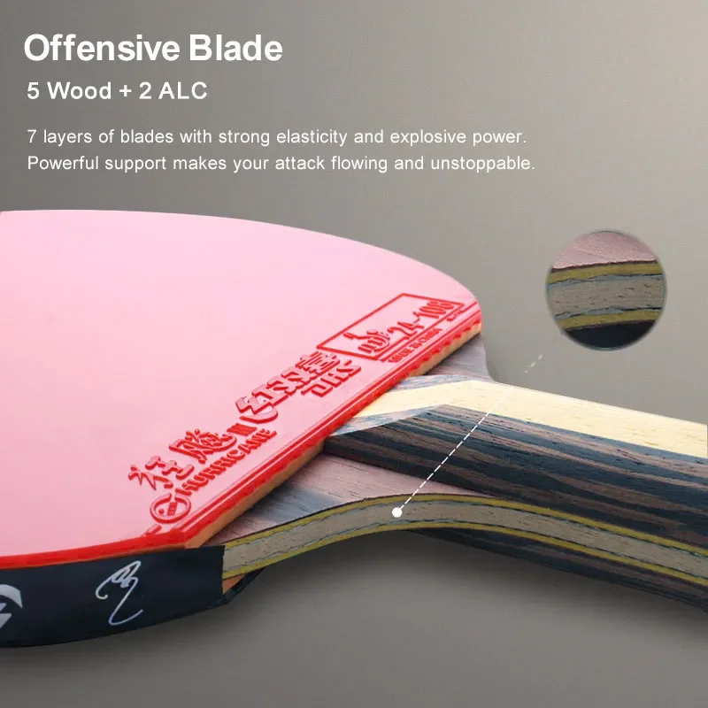 DHS 9 Star Table Tennis Racket Professional 5 Wood 2 ALC Offensive Ping Pong Racket with Hurricane Sticky Rubber