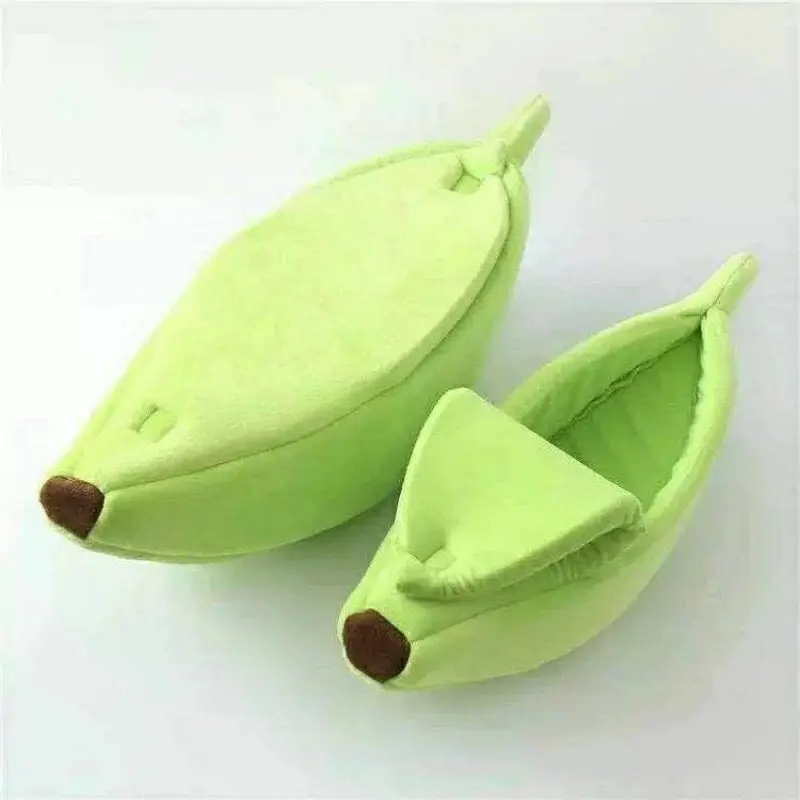 밝은 녹색