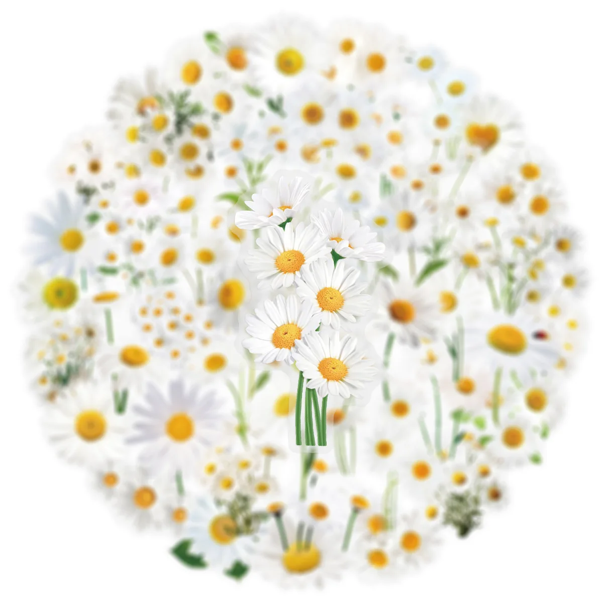 50PCS 투명 데이지/해바라기 스티커 장식 기타 노트북 방수 애완 동물 노트북 편지지 상자 꽃 스티커