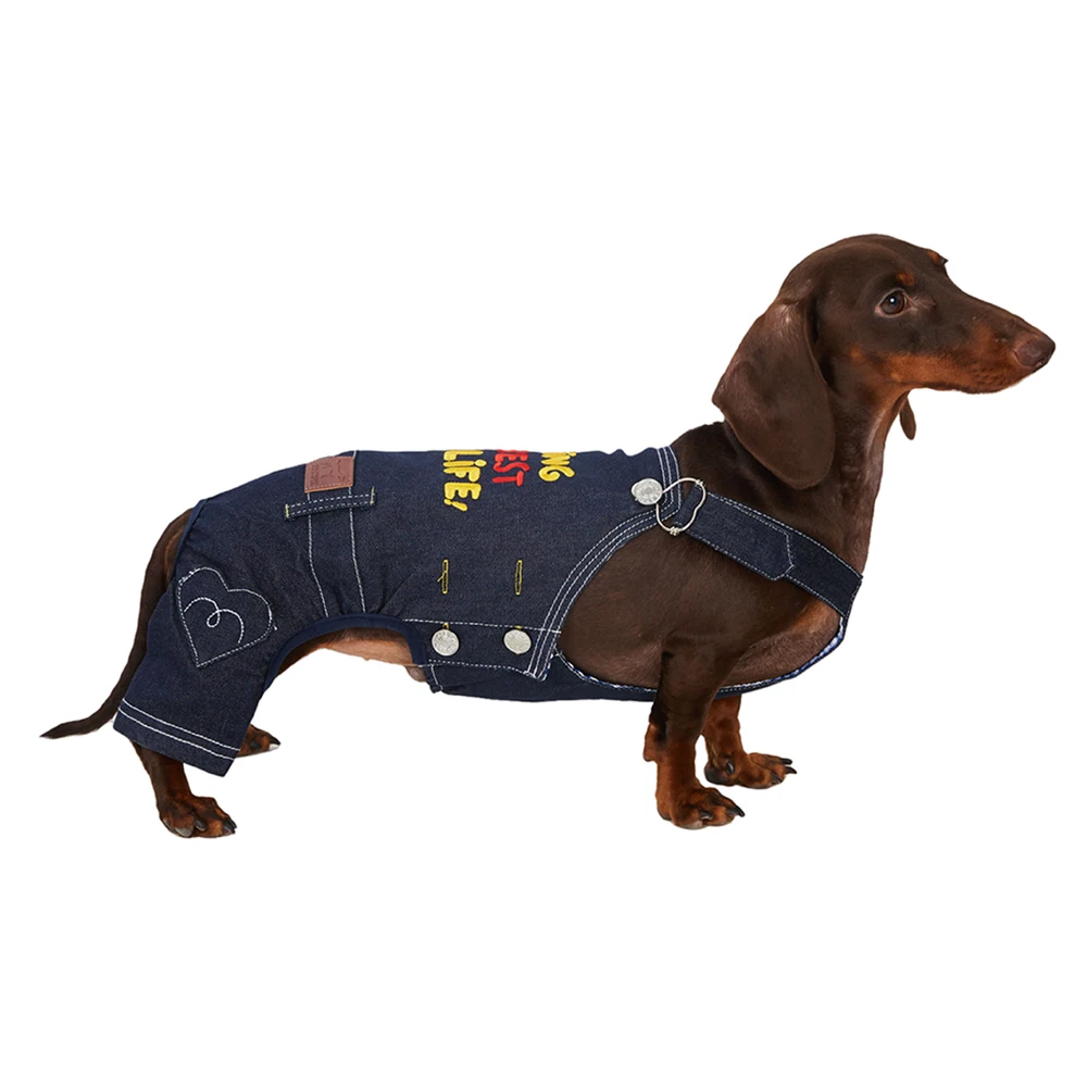 Peto vaquero vintage japonés azul con bordado para perro salchicha - imagen 2
