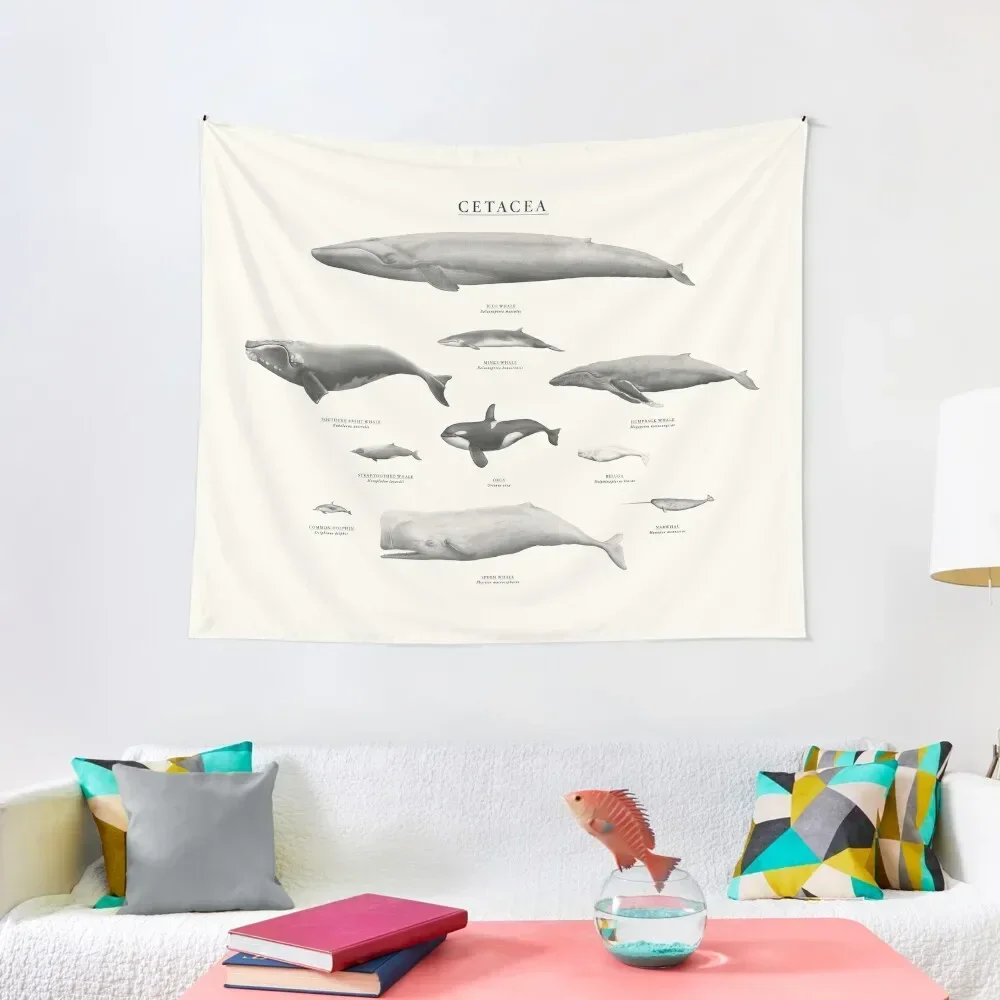 

Cetacea Tapestry Cute Room Things Wall Decorations Decoration Room Tapestry