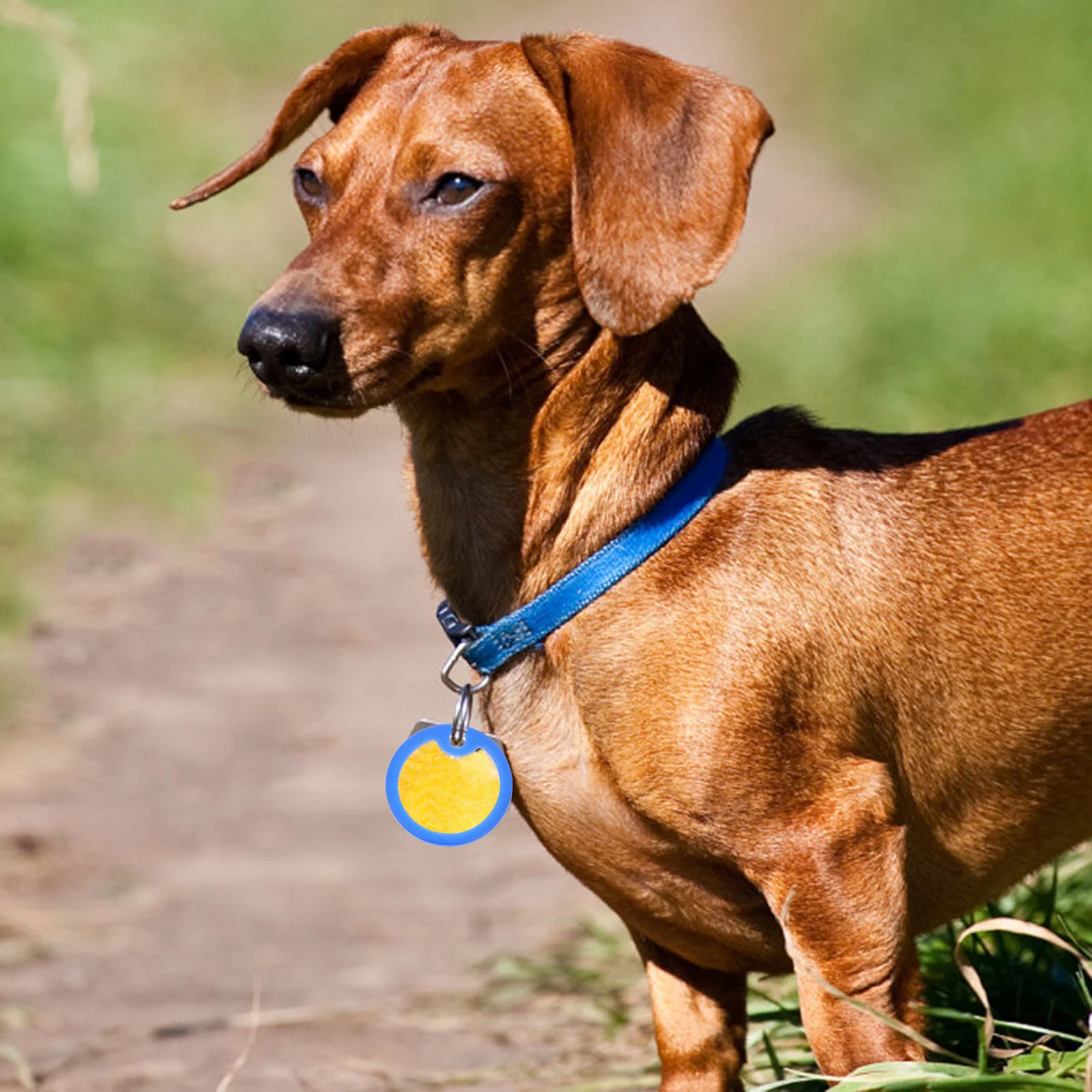 

6Pcs Dog Tag Cover Silicone Sleeves Noise Reduction Protect Furniture Floors Soft Material Longlasting Pet Supply