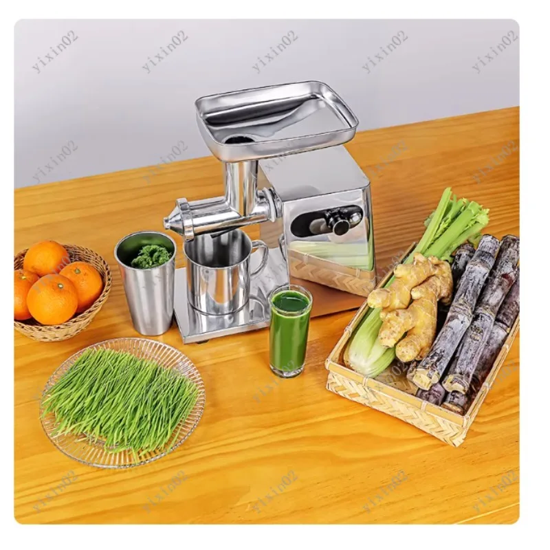 Commercial Automatic Stainless Steel Juicer Machine for Business Use Efficient Fruit Herb Celery Wheatgrass Juicer Extractor view 4