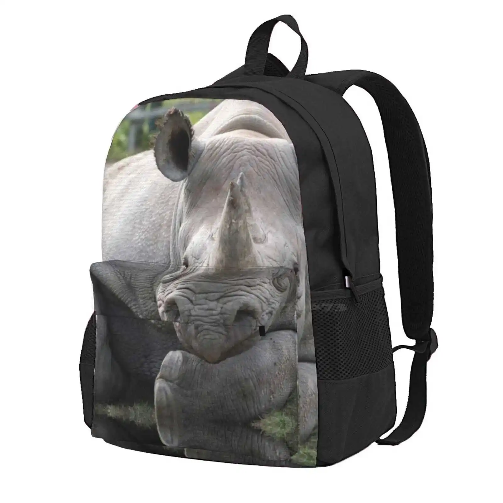 Rhino Looking Relaxed With Head Resting On Forearm. Hot Sale Schoolbag Backpack Fashion Bags Anti Poaching Ashford Big 5 Big