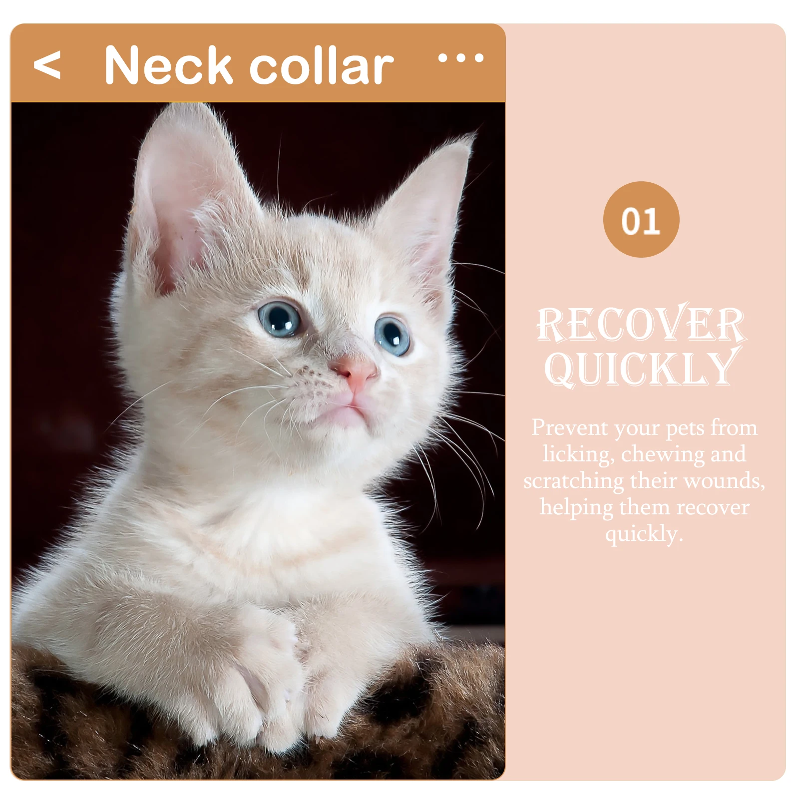 

Cat Protective Anti Bite Kitten Recovery Anti Bite Pet Collar Soft Bread Shape Cone Dog Accessories Pet Supplies