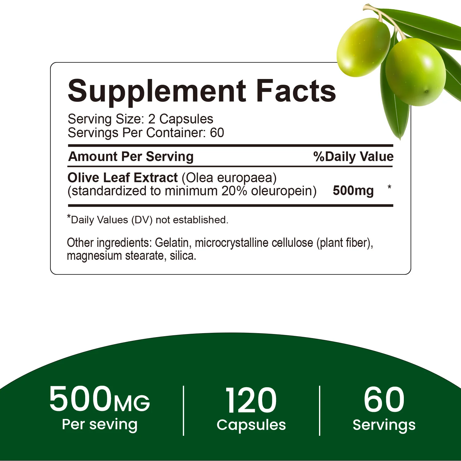 Olive Leaf Extract - Provides Immune Support, Promotes Cardiovascular Health and Maintains Healthy Blood Pressure