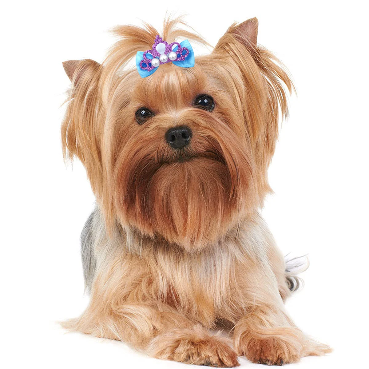 100pcs Pet Puppy Cat Dog Hair Bows for Small Dogs Puppy Dog Grooming Bows Hair Accessories Dog Pet Supplies