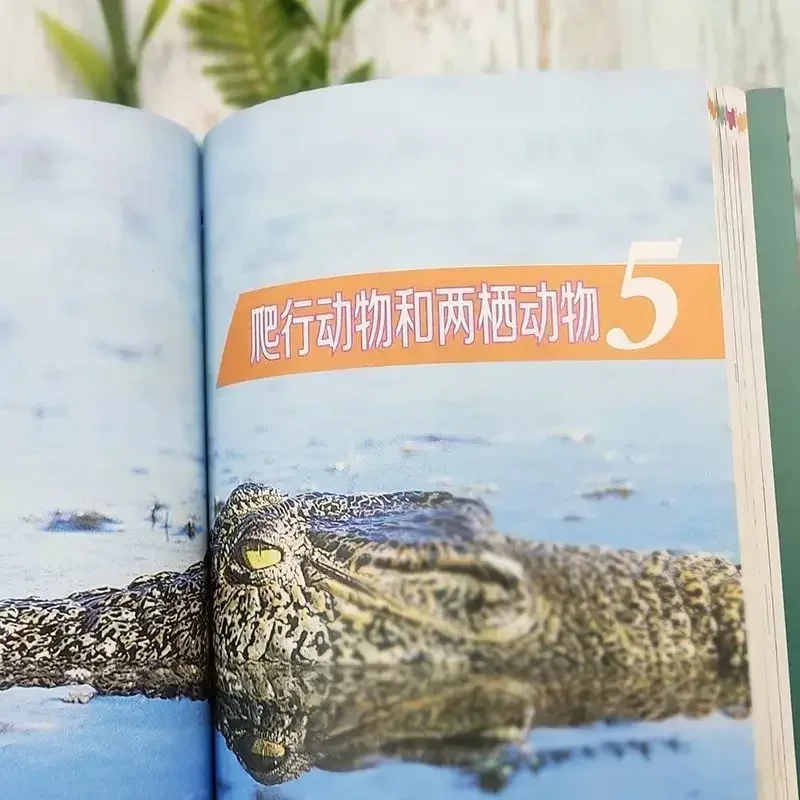 Panorama Biologia Mistero Enciclopedia Libri per bambini Enciclopedia delle conoscenze