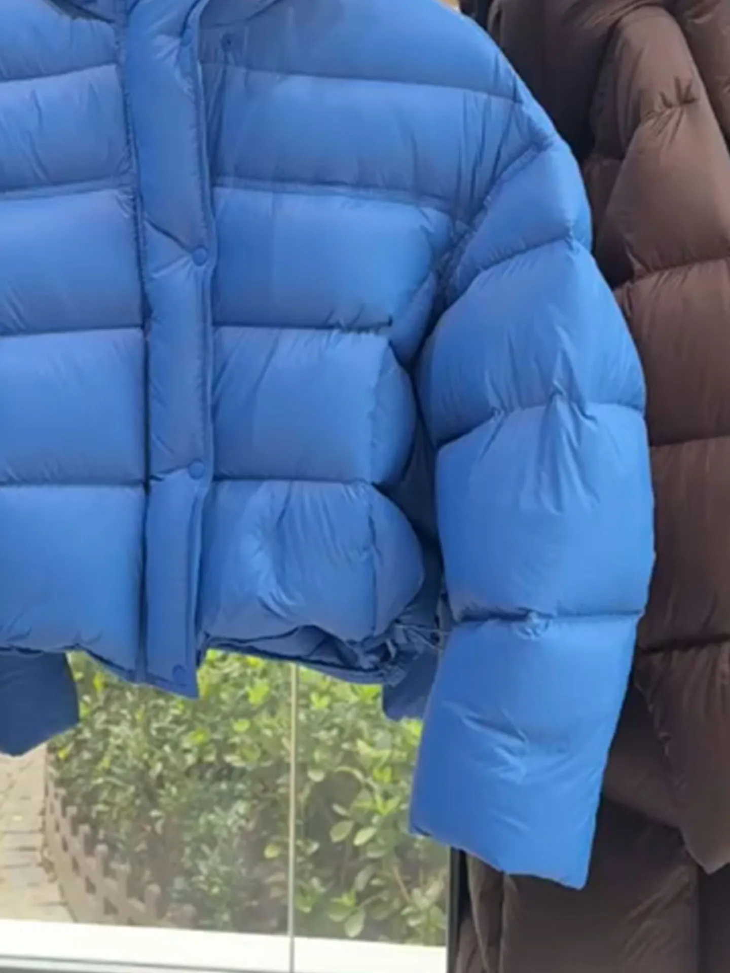 Jaet con capucha acolchada de ort azul para mujer, abrigo de invierno con pan cálido, talla pequeña, patrón de tortuga ell Ba