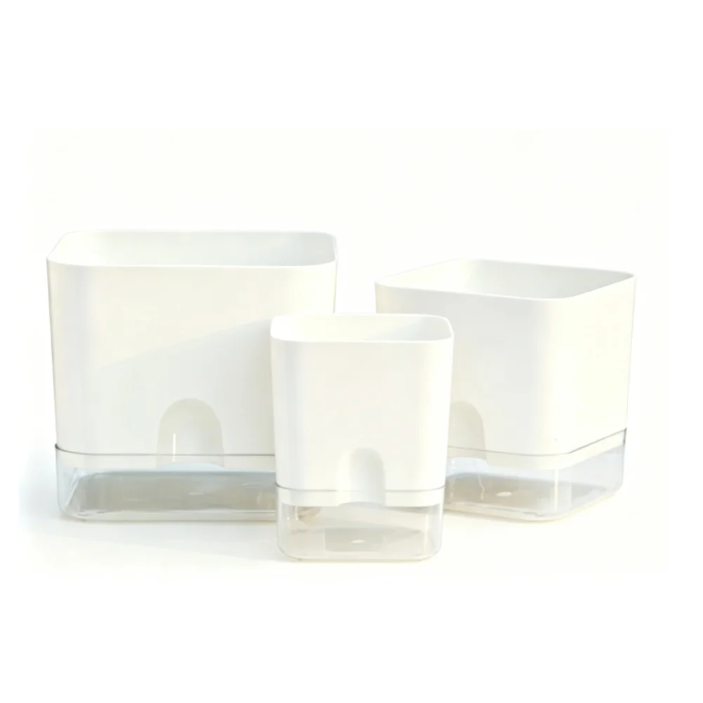 Resin Self Watering Plant Container Transparent Base PP Material for Indoor Use Breathable Bottom 18x17x16.5cm 3 Units