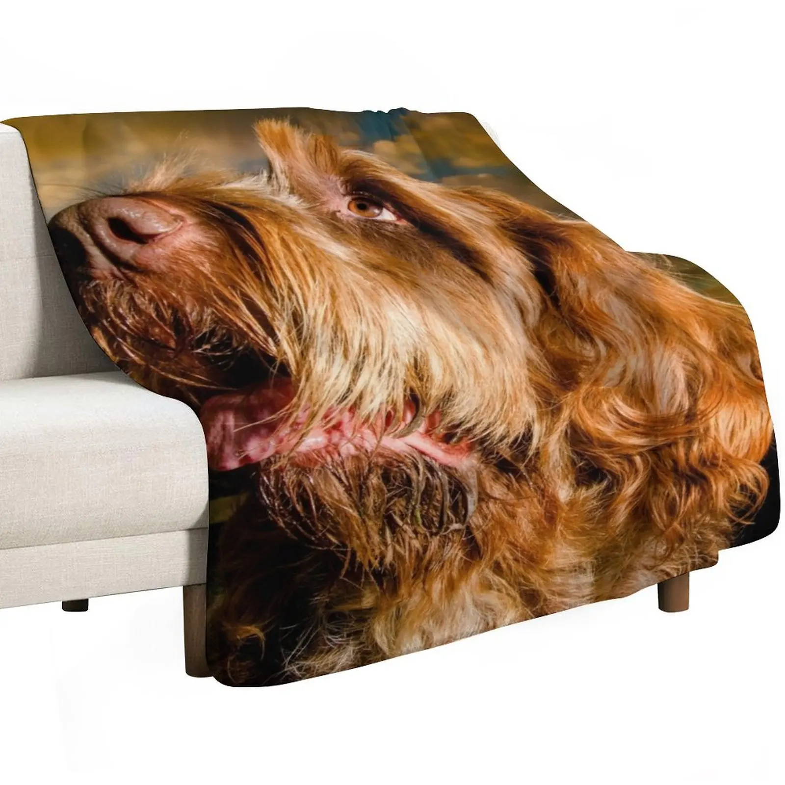 Star light, star bright Spinone Throw Blanket Luxury Brand Furry Loose Hairy blankets ands Designers Blankets