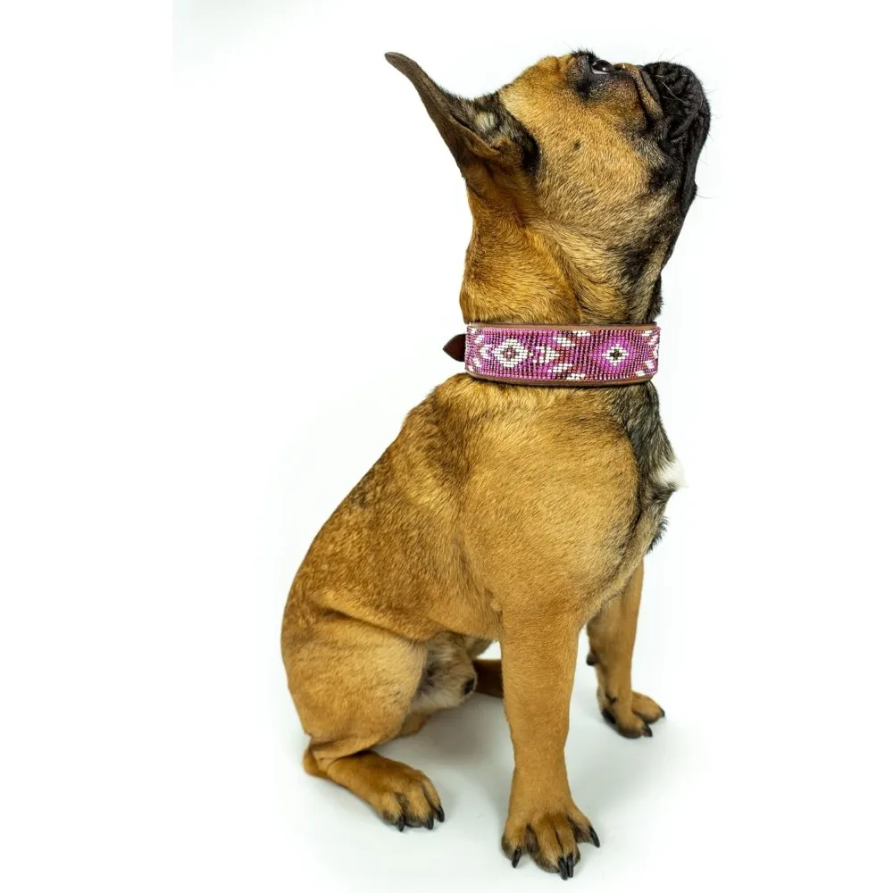 Handcrafted Leather Dog Collar with Padding, 17-21 Inches, Tooled Design for Medium Dogs