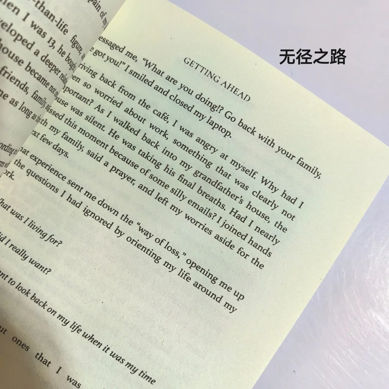 The Pathless Path от Paul Millerd: Embrace Non-Traditional Careers & Live Free English в твердом переплете