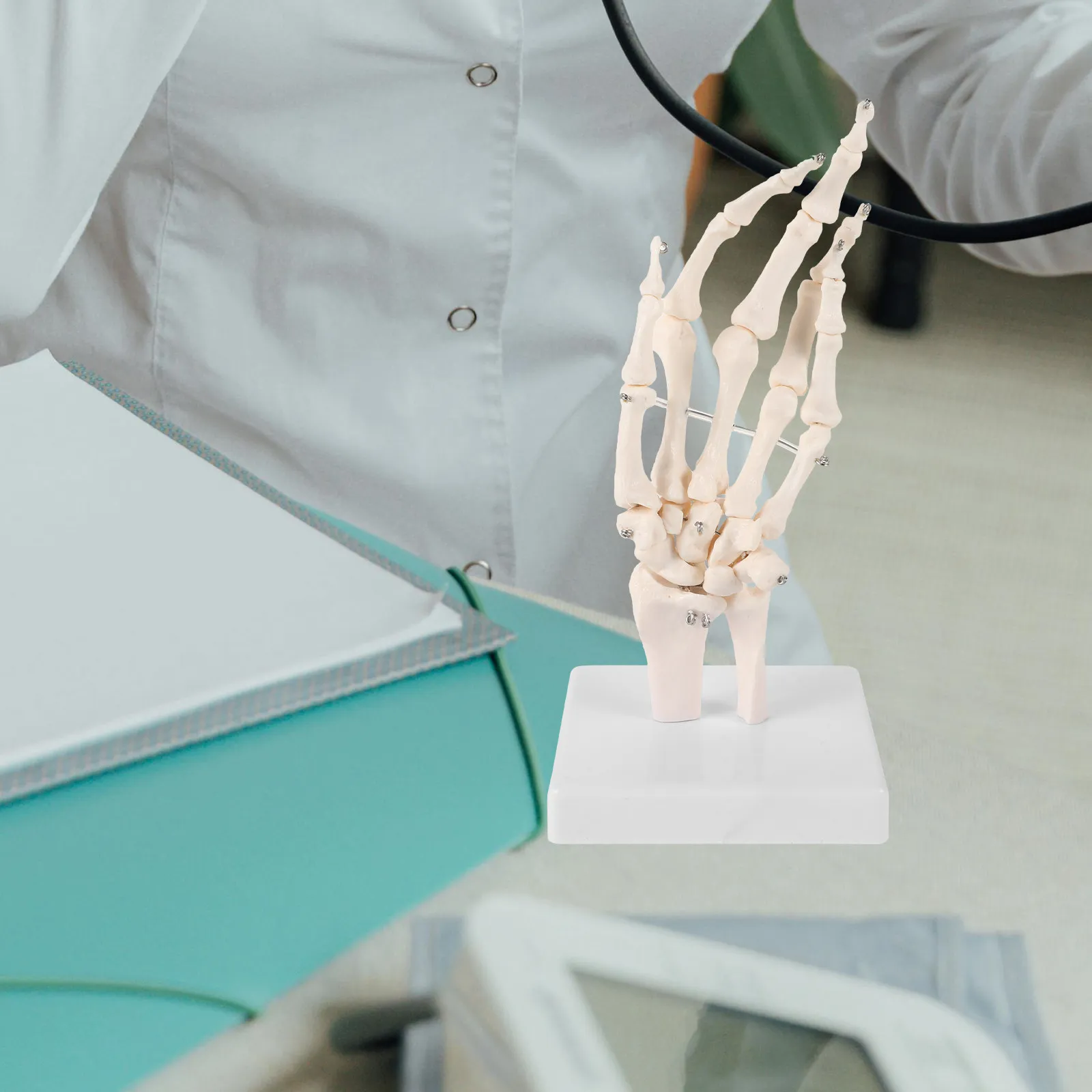 human-hand-bone-joint-teaching-lab-simulation-scientific-tool-education-aid-for-anatomical-structure