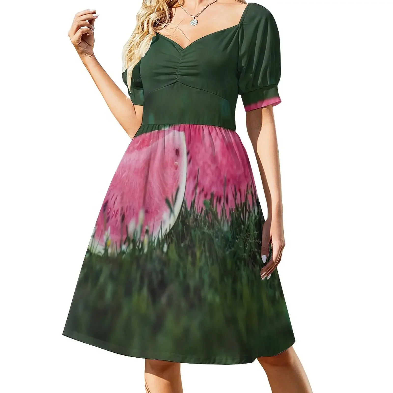 

DI COLLECTION -TWO PIECES OF WATERMELON ON GRASS Short-Sleeved Dress women's dresses luxury summer dress loose summer dress