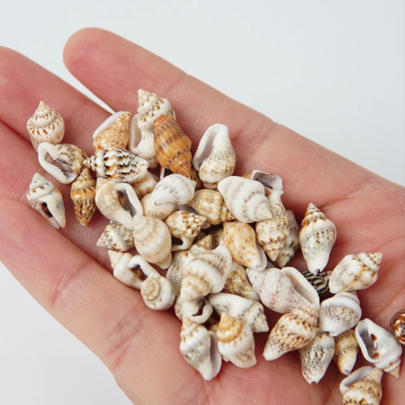 30pcs Mini Shell Conch Simulated Snail model DIY Crafting Kit Micro-Landscape Decorative Props Handicrafts home decor