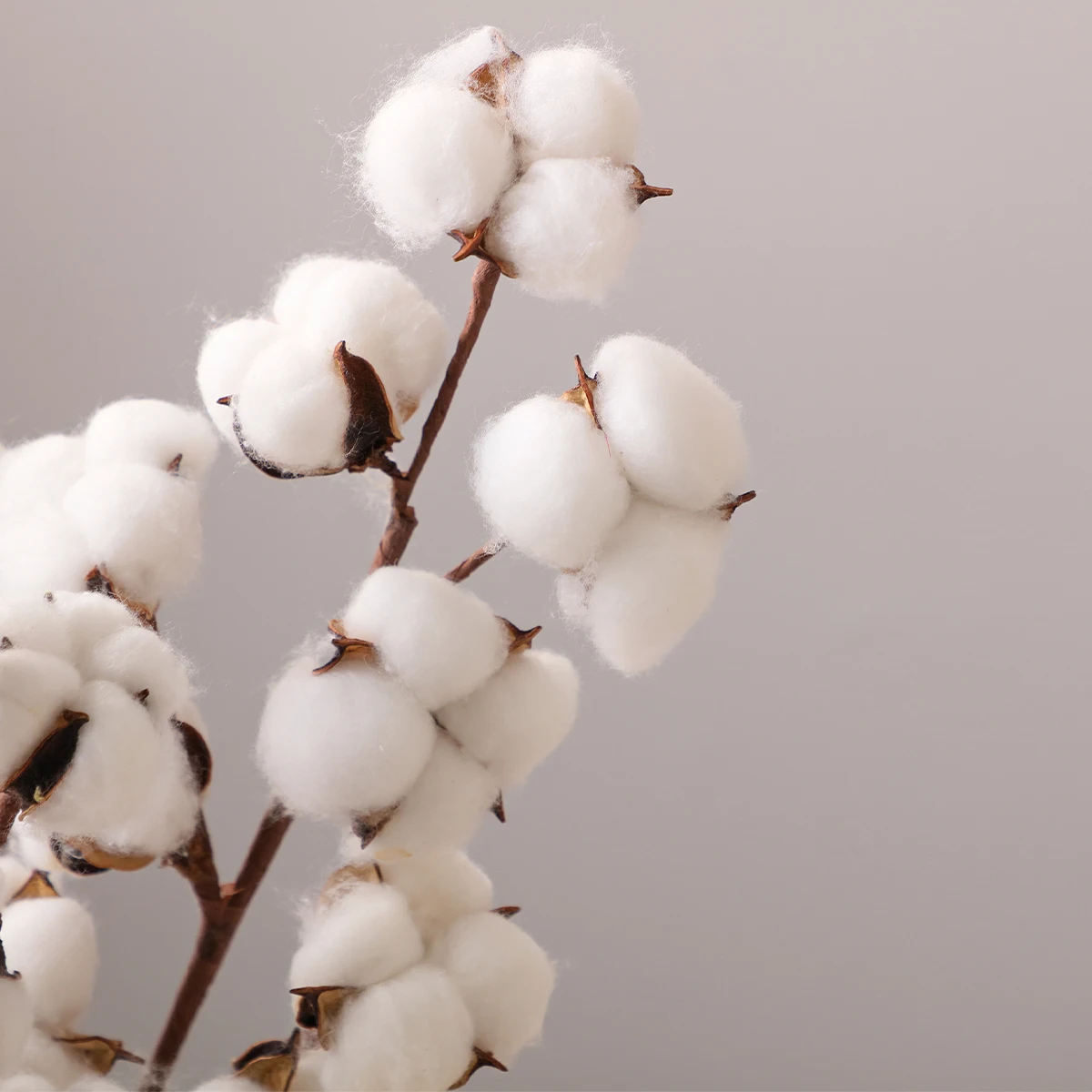 #46 Latest Vase Fillers Offers