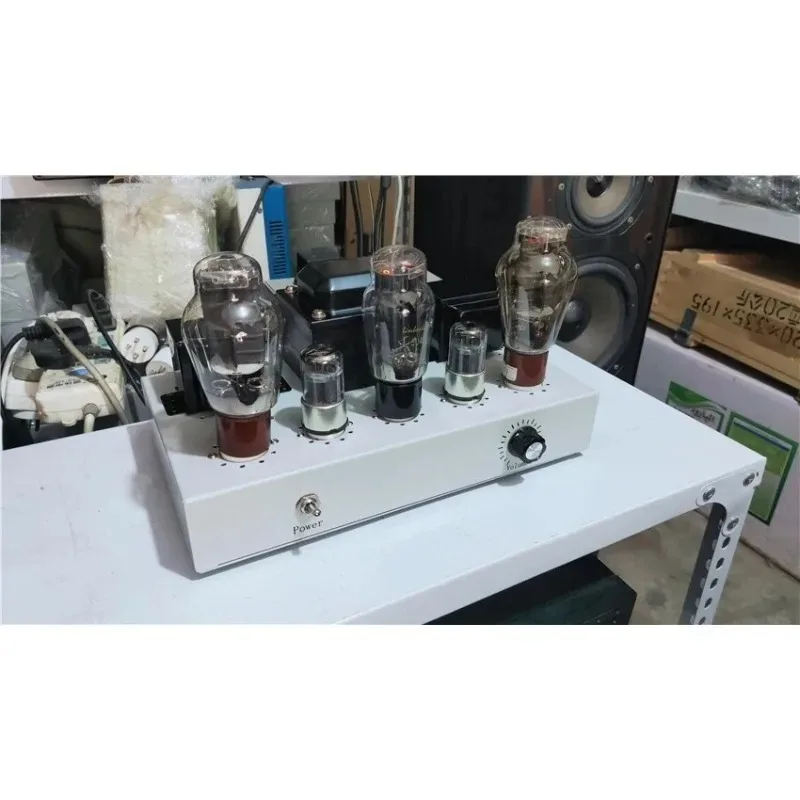 300B/2A3 Gallbladde… - image