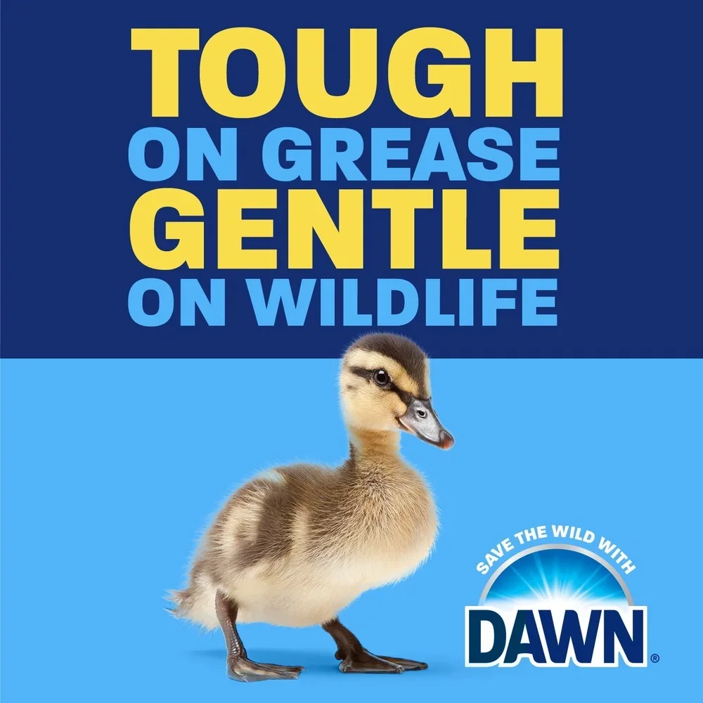 صابون الأطباق الفائق، إزالة الشحوم المركزة، 38 أونصة، تركيبة قوية قابلة للتحلل البيولوجي، آمنة #3