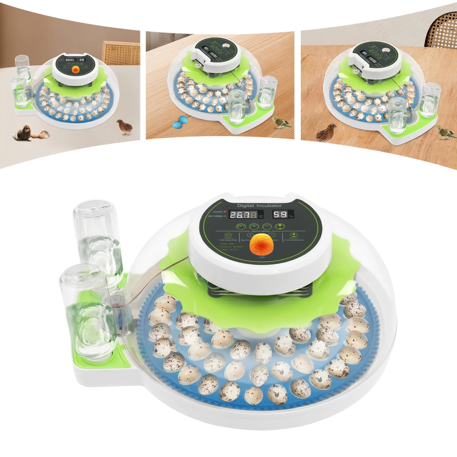 

For 60 Quail Eggs Green +Blue Round ABS Quail Egg Incubator Poultry Quail Incubator with LED Screen
