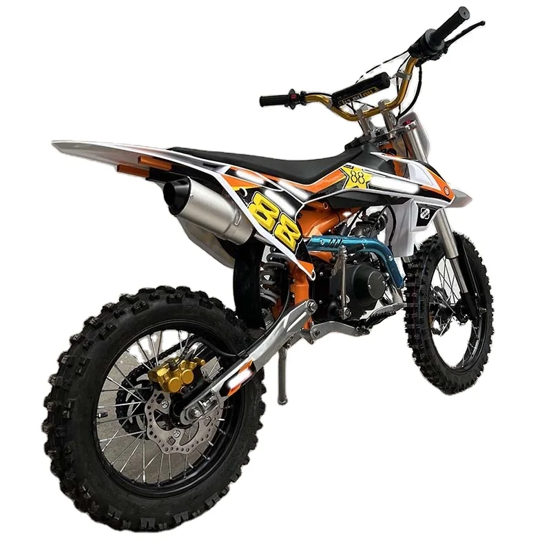 New Fashion 125cc Hot Selling Automatic 4-Stroke Engine Dirt Bike CE Certified Chain Drive Differential Lock Equipped Electric