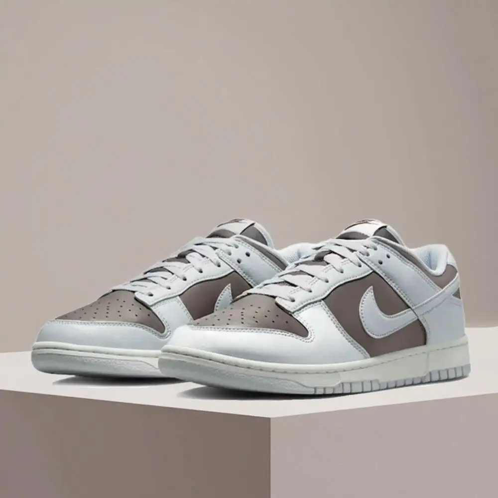Nike Dunk Low Street Slip-Resistant & Durable Classic Versatile Sneakers Men's Casual Skate Shoes HF5441-202