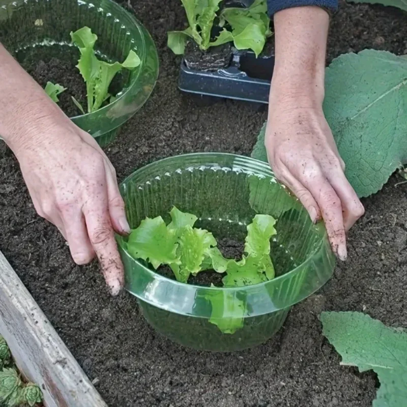 5pcs Vegetable Nursery protective cover Snail blocking Rotundity Breathable and transparent Security Plant protective cover