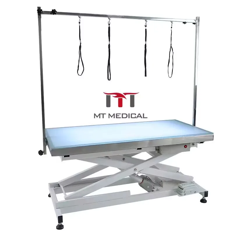 

Portable Foldable Electric Dog Grooming Table, Height Adjustable Veterinary Grooming Station With Safety Protection