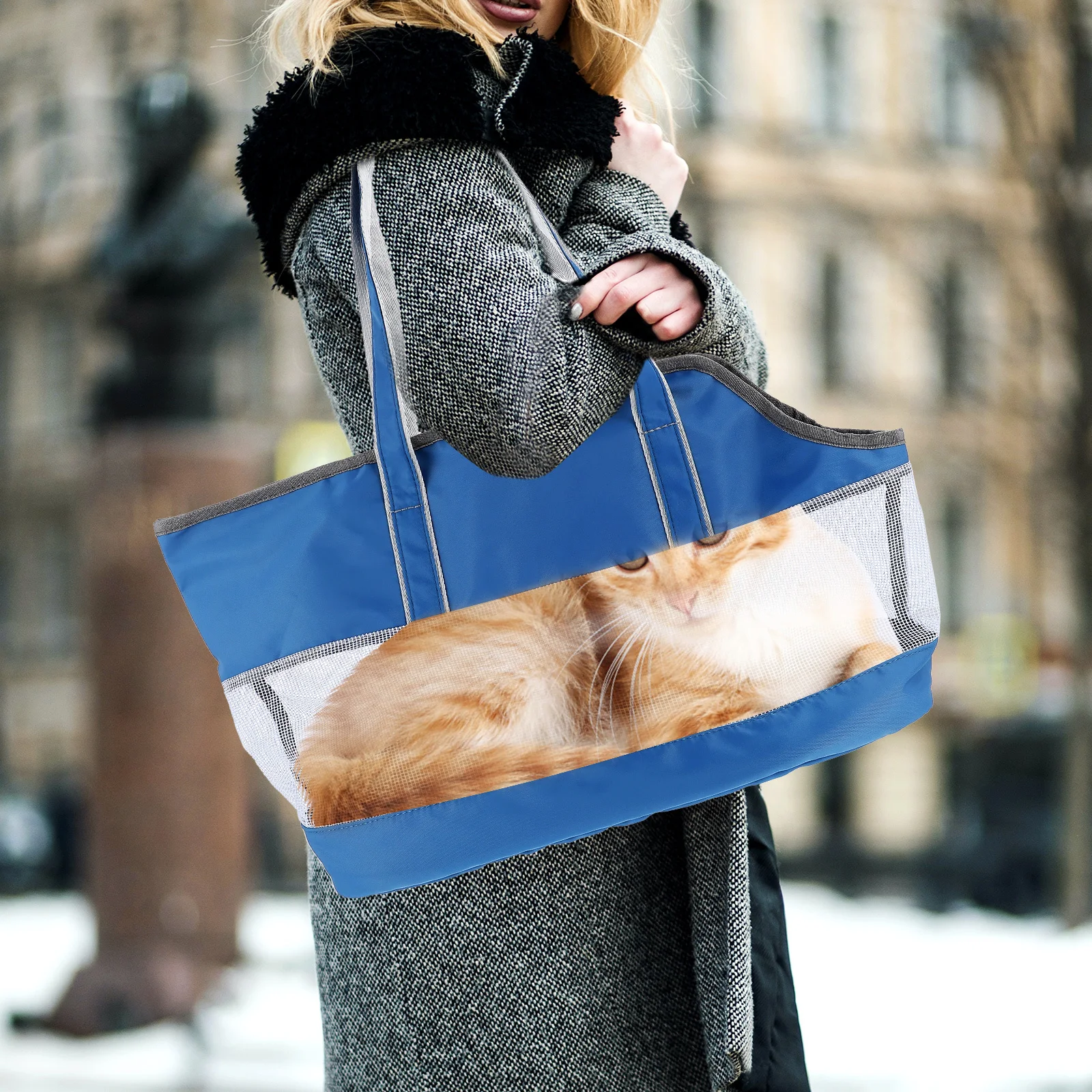 

Portable Pet Carrier Bag Nylon Outdoor Cat Carrying Pouch Breathable Kitten Storage Bag Cooling Hanger Pet Carrier for Travel