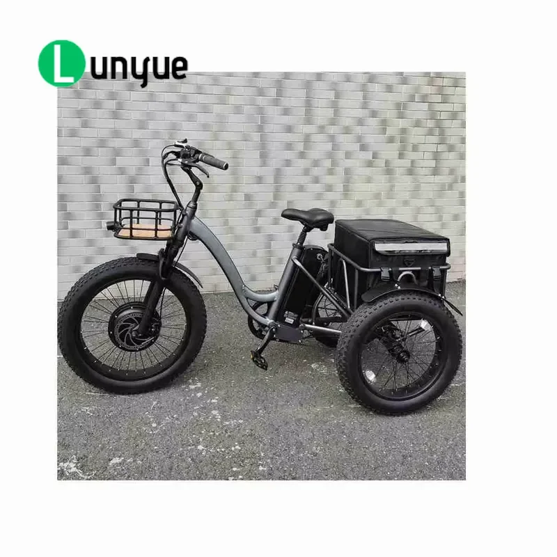 48V 500W Electric Tricycle Adult Cargo E Bike Wholesale Freight Bicycle for Delivery Transport Heavy Duty Power Efficient